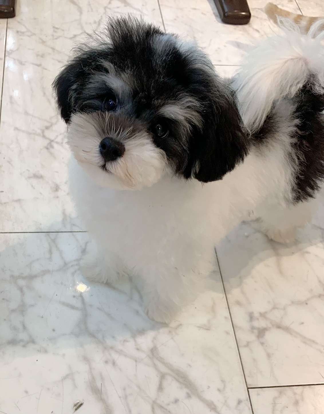 HPリニューアルしました!